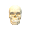 aaajk81