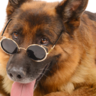 kutta91111