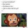 tommy4566