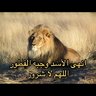 ismailzer