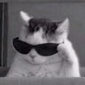 evilcoder1337