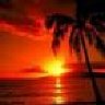 messaid_saadane