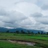 myozaw
