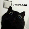 skittl123