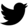 villiger