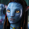 navid555