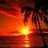 messaid_saadane