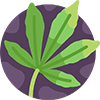 Sacred Weed Award